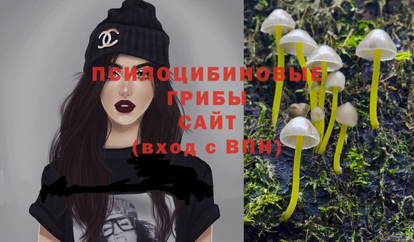 MDMA Алексеевка
