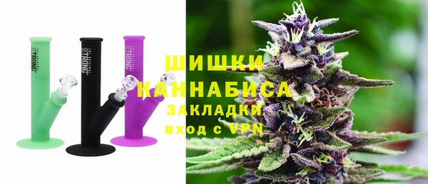 бошки Алексин