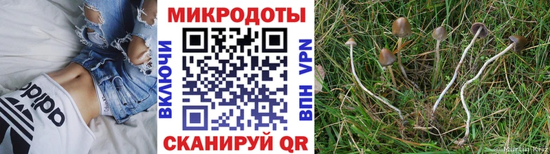 Псилоцибиновые грибы Magic Shrooms  площадка телеграм  Солнечногорск 